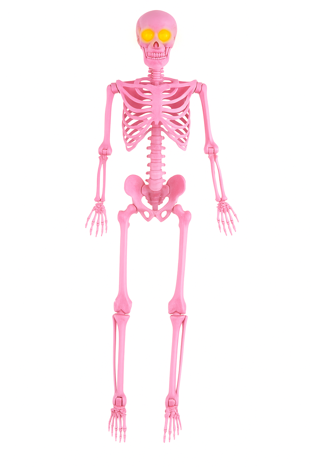 Life-Size Glowing-Eye Skeleton