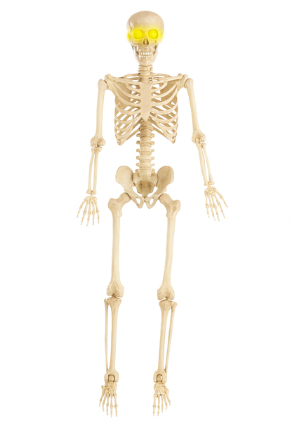 Life-Size Glowing-Eye Skeleton