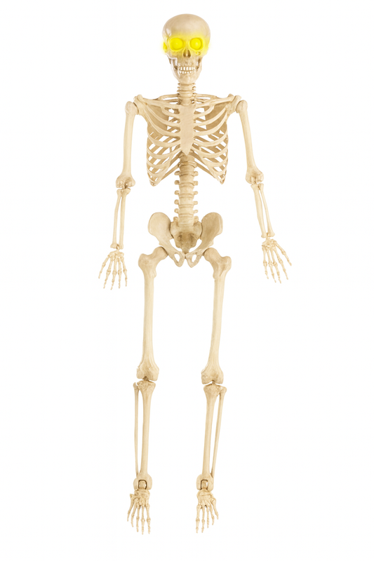 Life-Size Glowing-Eye Skeleton