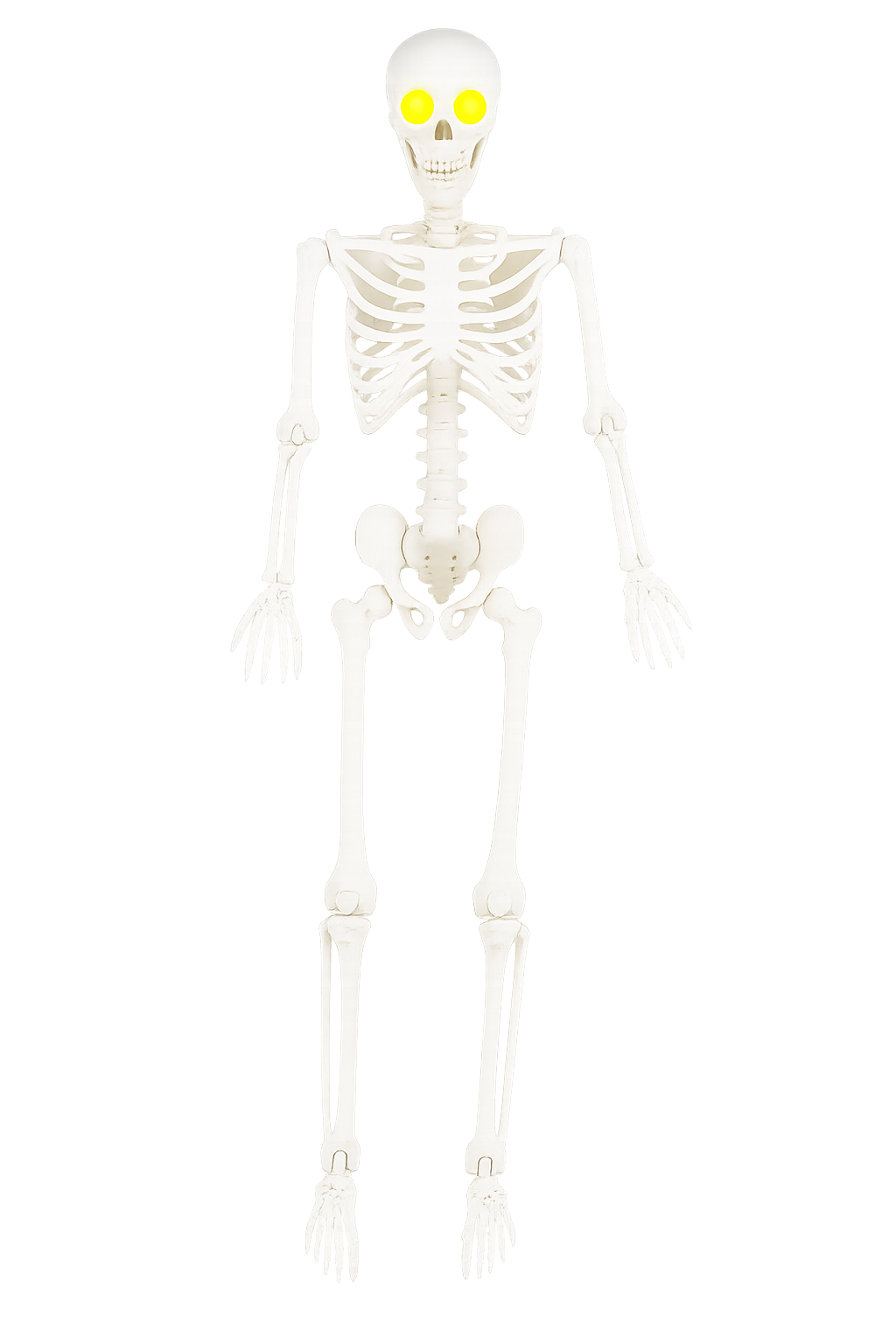 Life-Size Glowing-Eye Skeleton