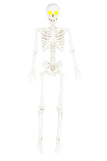 Life-Size Glowing-Eye Skeleton