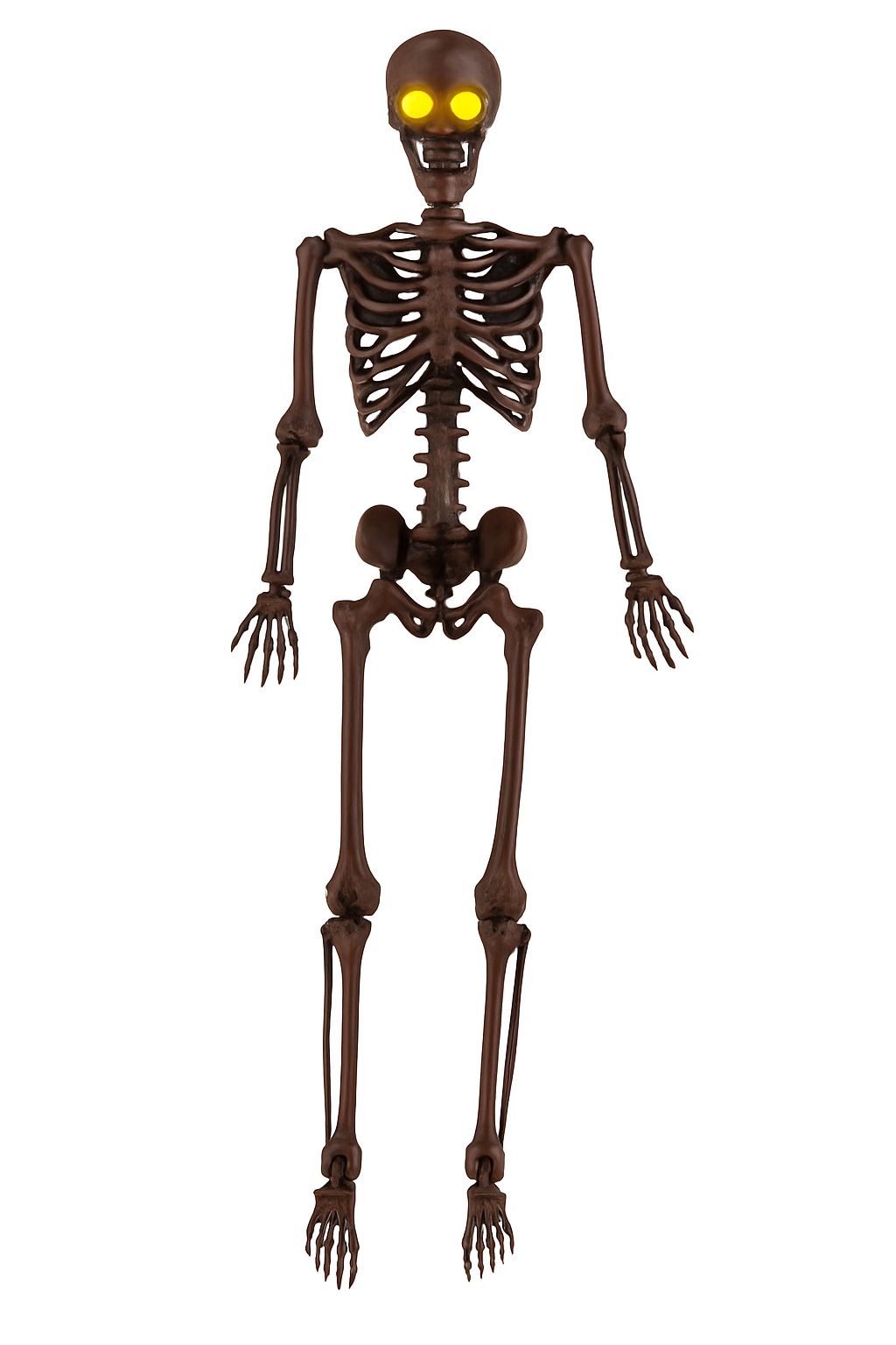 Life-Size Glowing-Eye Skeleton